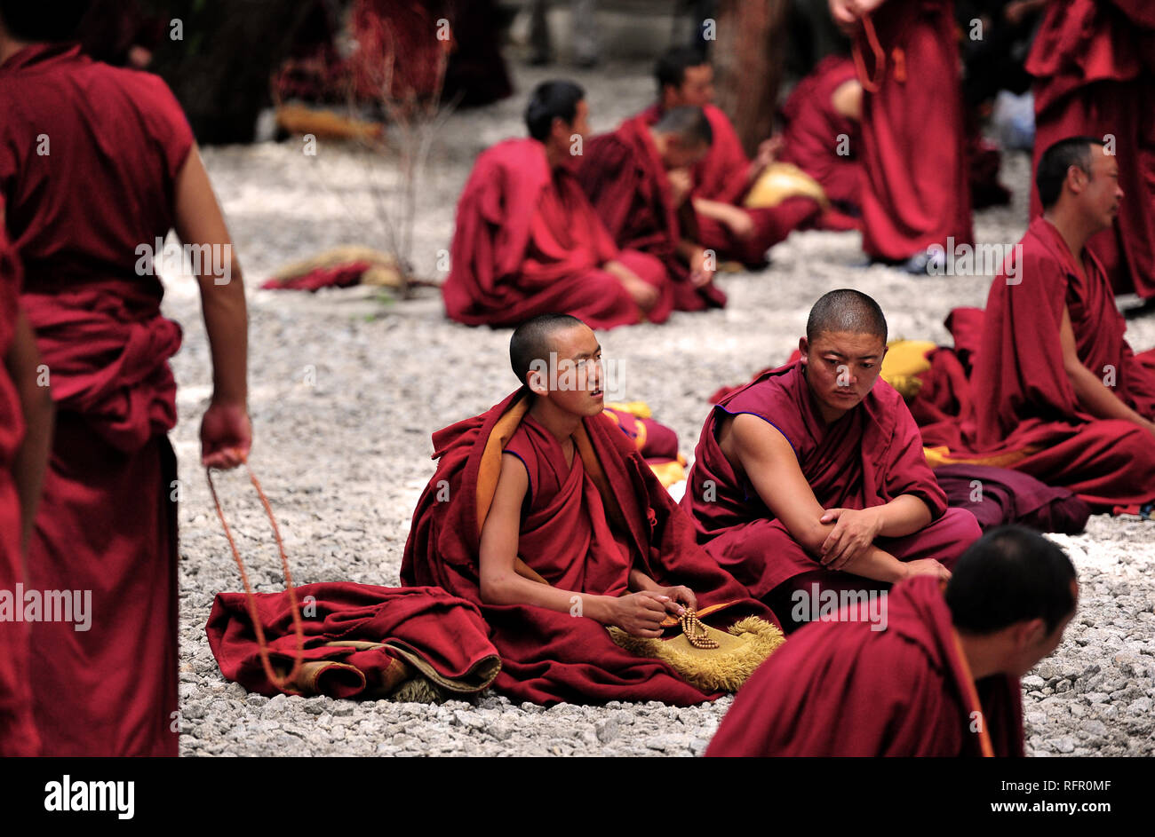 I monaci a discutere nel cortile a discutere al Monastero di Sera, Lhasa, in Tibet Foto Stock