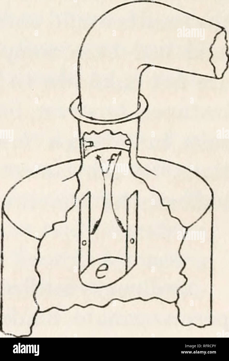 . Carnegie Institution di Washington la pubblicazione. FIG. 1. è stata effettuata mediante una modifica del ben noto imbuto con guarnizione di tenuta superiore suggerito da T. W. Richards. Il dispositivo è mostrato in figura 1. Ausiliari di vetro della lampadina (a) è facilmente realizzabile da un pallone a fondo tondo di adatte dimensioni; con precisione ware soffiato un eccellente tenuta può così essere ottenuta senza molatura. L'apertura (c) dovrebbe naturalmente essere in un allineamento corretto con il restringimento in (6), che funge da sede per il condensatore. Il collo della lampadina ha due lati- sfiati (dd) ed è impaccata con lana di vetro, mantenuto in posizione Foto Stock