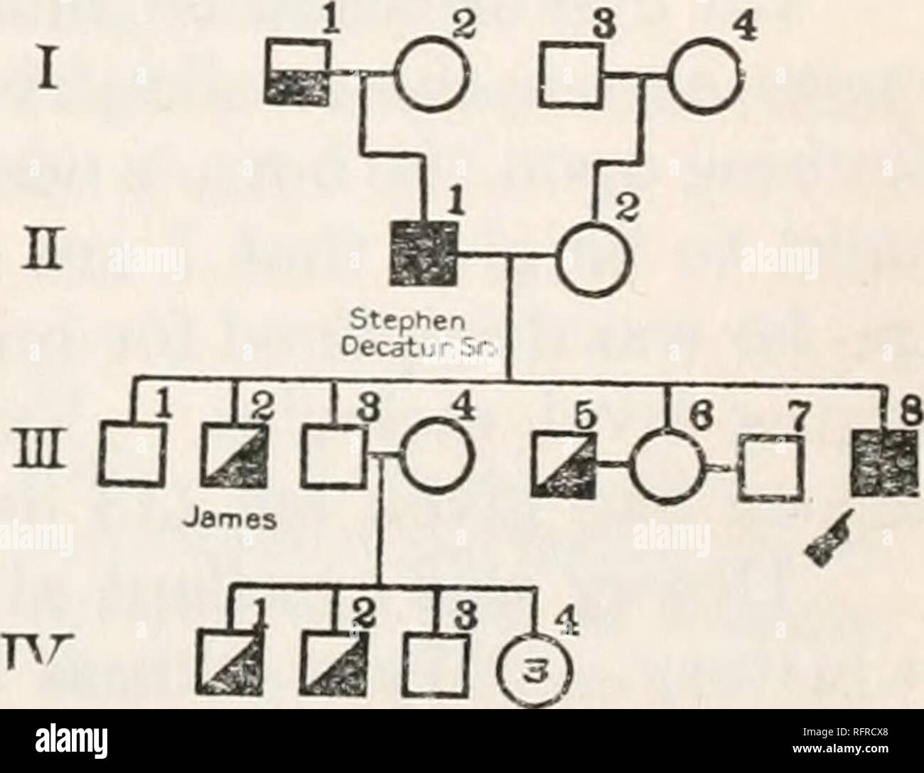 . Carnegie Institution di Washington la pubblicazione. DECATUR. 69 gale del vento, ed era mal tesa in scendere; anche cinque uomini britannici di guerra inseguito suo. Uno di questi, l'Endimione, egli ha sconfitto; ma gli altri venendo catturato lui e il Presidente. La pace è stato firmato poco dopo e Decatur è tornato nel suo paese. Egli era ancora in carica di un squadron, inviato al Mediterraneo contro i Mori. Ha catturato il Meshoiida, 46 cannoni e costretto trattati ad Algeri e a Tripoli. Tornare in America, è stato nominato a servire con Commodores Rogers e Porter sul bordo della Naval c Foto Stock . Carnegie Institution di Washington la pubblicazione. DECATUR. 69 gale del vento, ed era mal tesa in scendere; anche cinque uomini britannici di guerra inseguito suo. Uno di questi, l'Endimione, egli ha sconfitto; ma gli altri venendo catturato lui e il Presidente. La pace è stato firmato poco dopo e Decatur è tornato nel suo paese. Egli era ancora in carica di un squadron, inviato al Mediterraneo contro i Mori. Ha catturato il Meshoiida, 46 cannoni e costretto trattati ad Algeri e a Tripoli. Tornare in America, è stato nominato a servire con Commodores Rogers e Porter sul bordo della Naval c Foto Stock