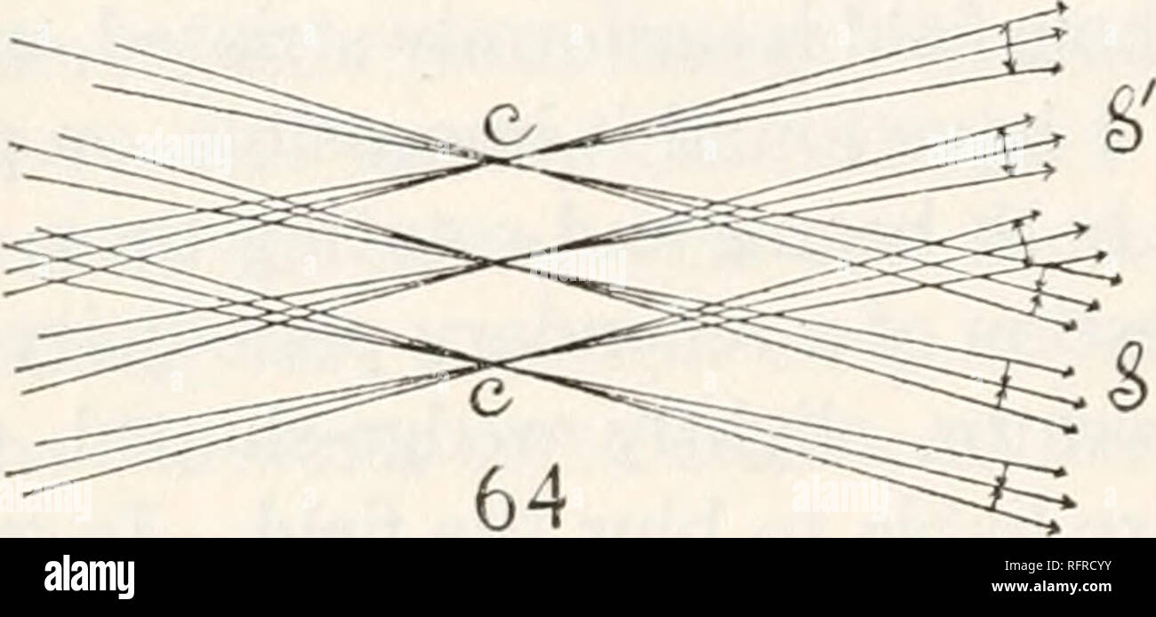 . Carnegie Institution di Washington la pubblicazione. 88 L'interferometria di e 5' sono le tracce di due longitudinalmente coincidente invertiti spettri, divaricati per la distinzione, la regione della D linee solo di essere utilizzato. La luce è omogeneo a questa misura e la fessura ampia, così che vi è obliqua inci- dence. Quindi ogni punto di S dovrebbe (sulla regolazione) interferire con ogni punto di 5', il risultato mostra un uniformemente striate in campo il telescopio. Questo è decisamente il caso per i raggi paralleli, mM, nN; ma con i raggi incrociati, mN, nM, l'interferenza è confinata ai raggi in Foto Stock