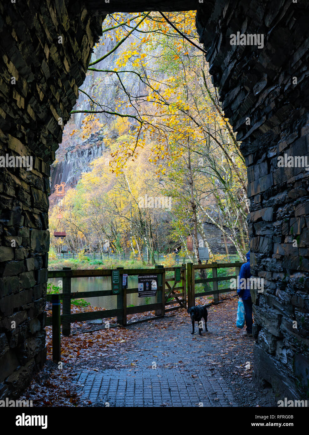 Vivian quarry, Llanberis, Gwynedd, il Galles del Nord, ora un centro immersioni. Immagine presa in ottobre 2018. Foto Stock