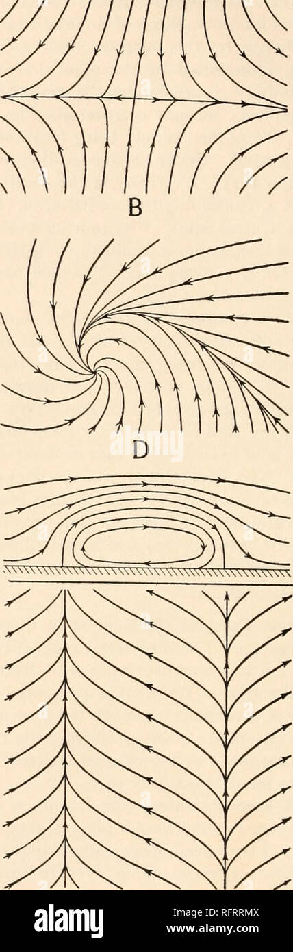 . Carnegie Institution di Washington la pubblicazione. /. A. Linea di divergenza con un punto neutro. B. La linea di convergenza con il punto neutro. Fig. 50.- -complessa singolarità. E. Due linee di giunzione di convergenza in uno. JJ. MUC Ul LUUVCIgCULC Willi IK'ULIil! PUlUL. F. I'.Vt1 di CYClOnC C. La linea di divergenza di rilascio dal punto di divergenza. G. il rotolamento della massa d'aria delimitata da una linea di convergenza e una linea di D. La linea di convergenza che termina nel punto di convergenza. divergenza.. Si prega di notare che queste immagini vengono estratte dalla pagina sottoposta a scansione di immagini che possono essere state migliorate digitalmente per readabi Foto Stock