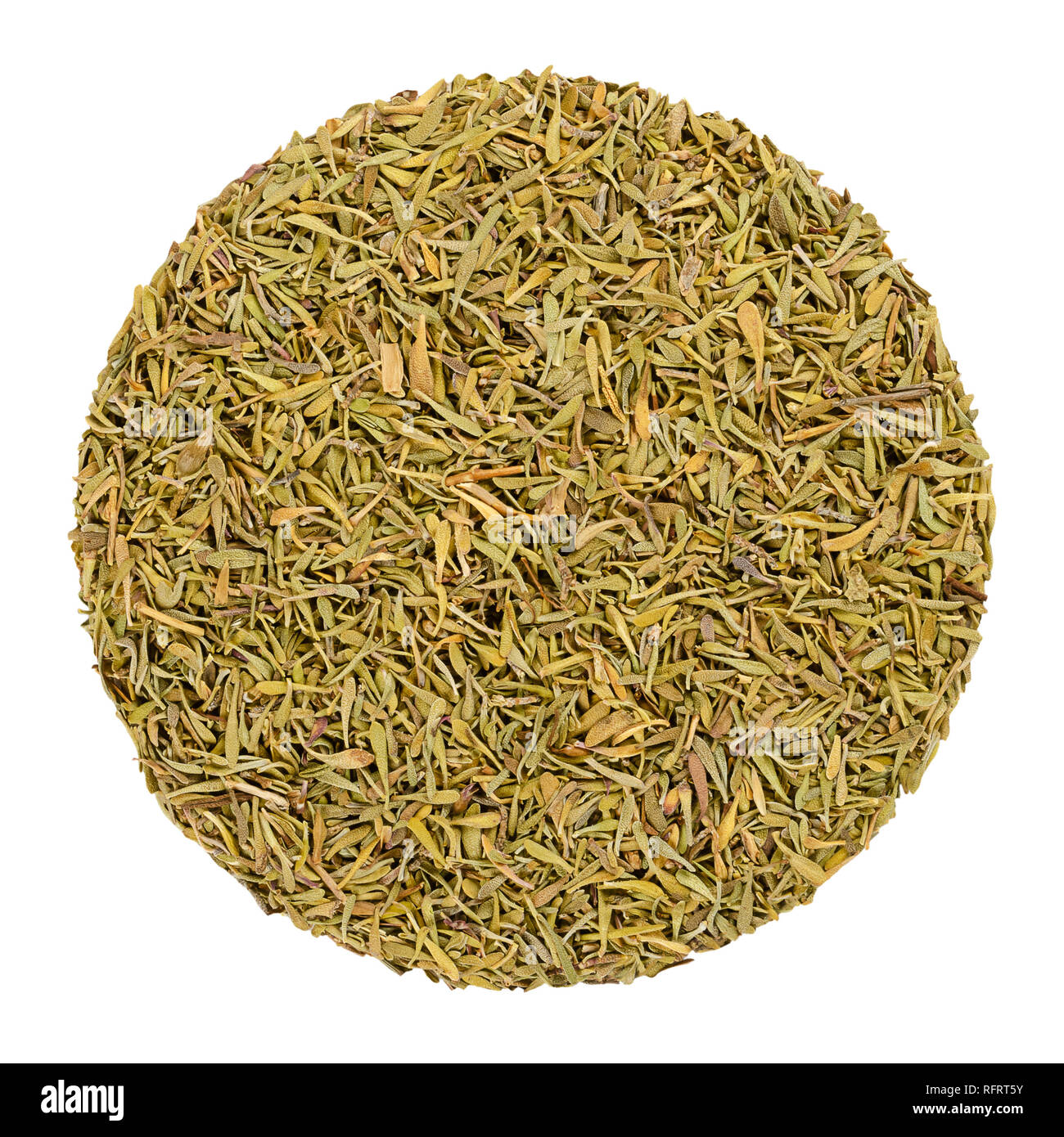 Timo essiccato. Cerchio di erbe da sopra, isolata su bianco. Disco di materiale di gambi sminuzzati. Erba verde, Thymus vulgaris, parente di origano. Foto Stock
