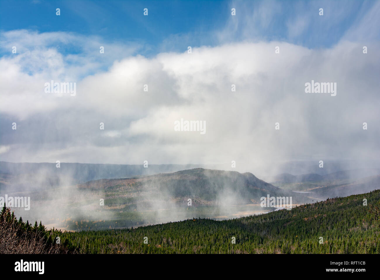 Nebbia al fiume di montagna della Valle di Terranova, del Canada Foto Stock