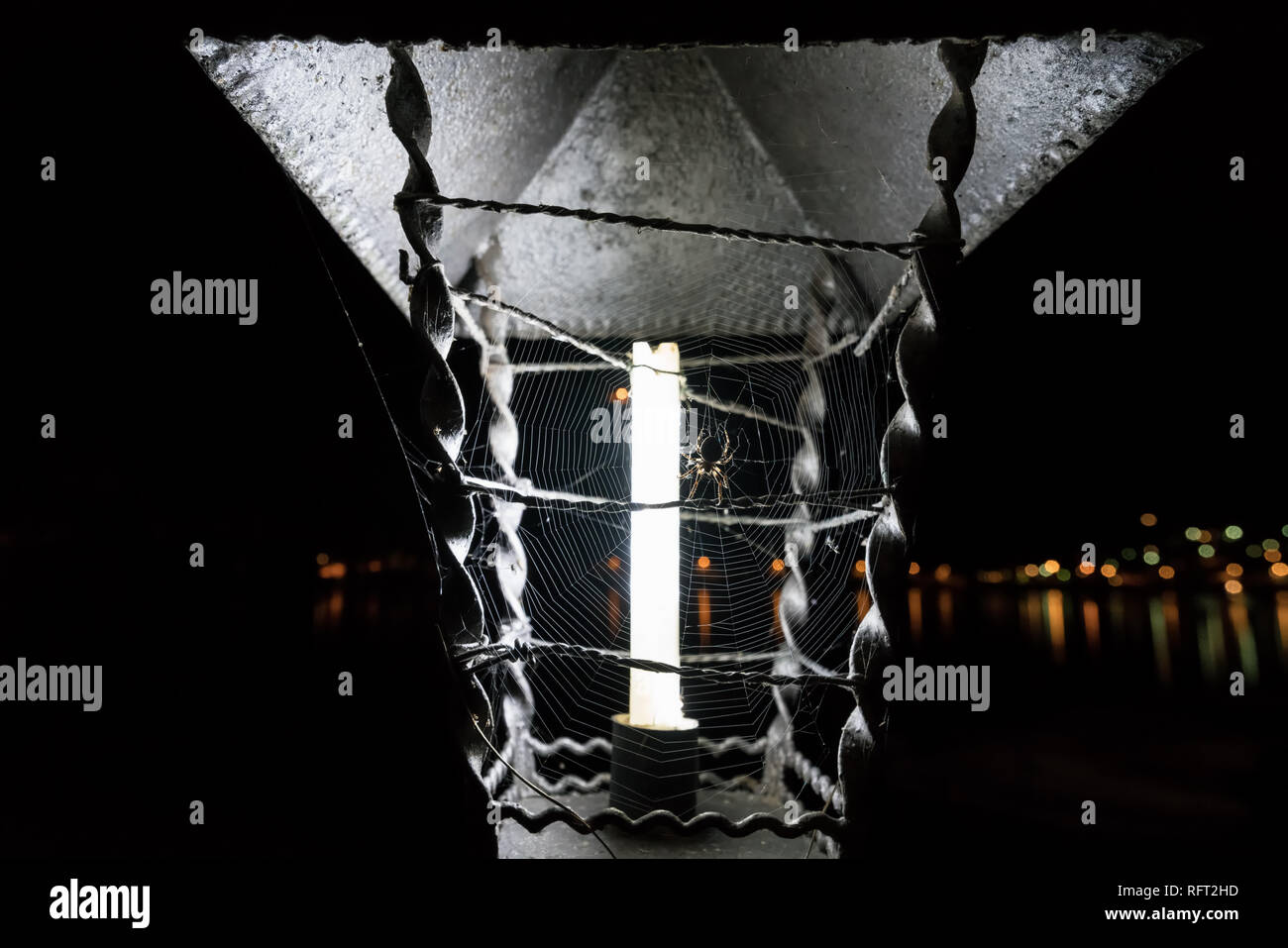 Un grosso ragno nel web al Lago di Mezzola, Italia Foto stock - Alamy