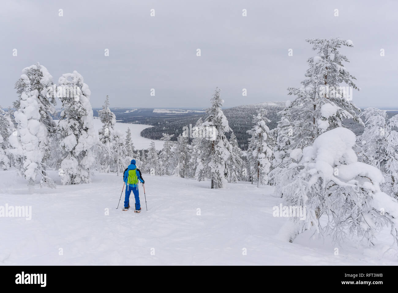 Escursionista con le racchette da neve tra gli alberi congelati vicino Pyha in Lapponia, Finlandia Foto Stock
