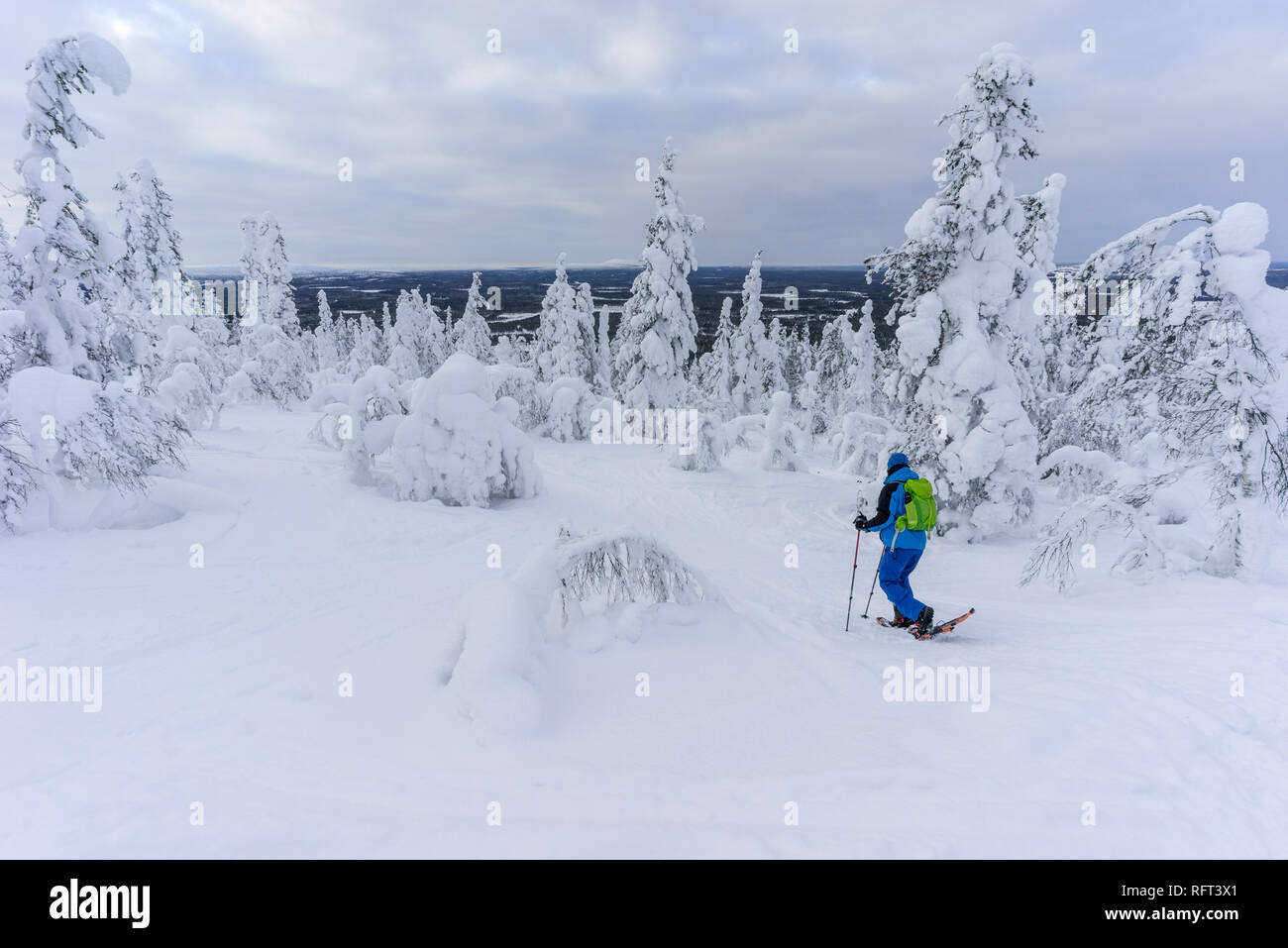 Escursionista con le racchette da neve tra gli alberi congelati vicino Pyha in Lapponia, Finlandia Foto Stock