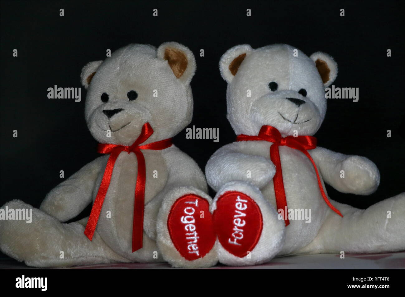 Una coppia di piccoli peluche porta con una parola visibile sul loro di toccare le zampe Foto Stock