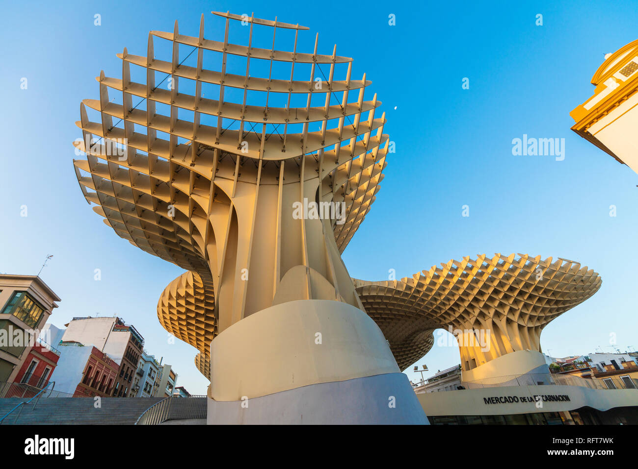 Forme reticolare di funghi giganti del Metropol Parasol (Setas de Sevilla), Plaza de la Encarnación, Siviglia, Andalusia, Spagna, Europa Foto Stock