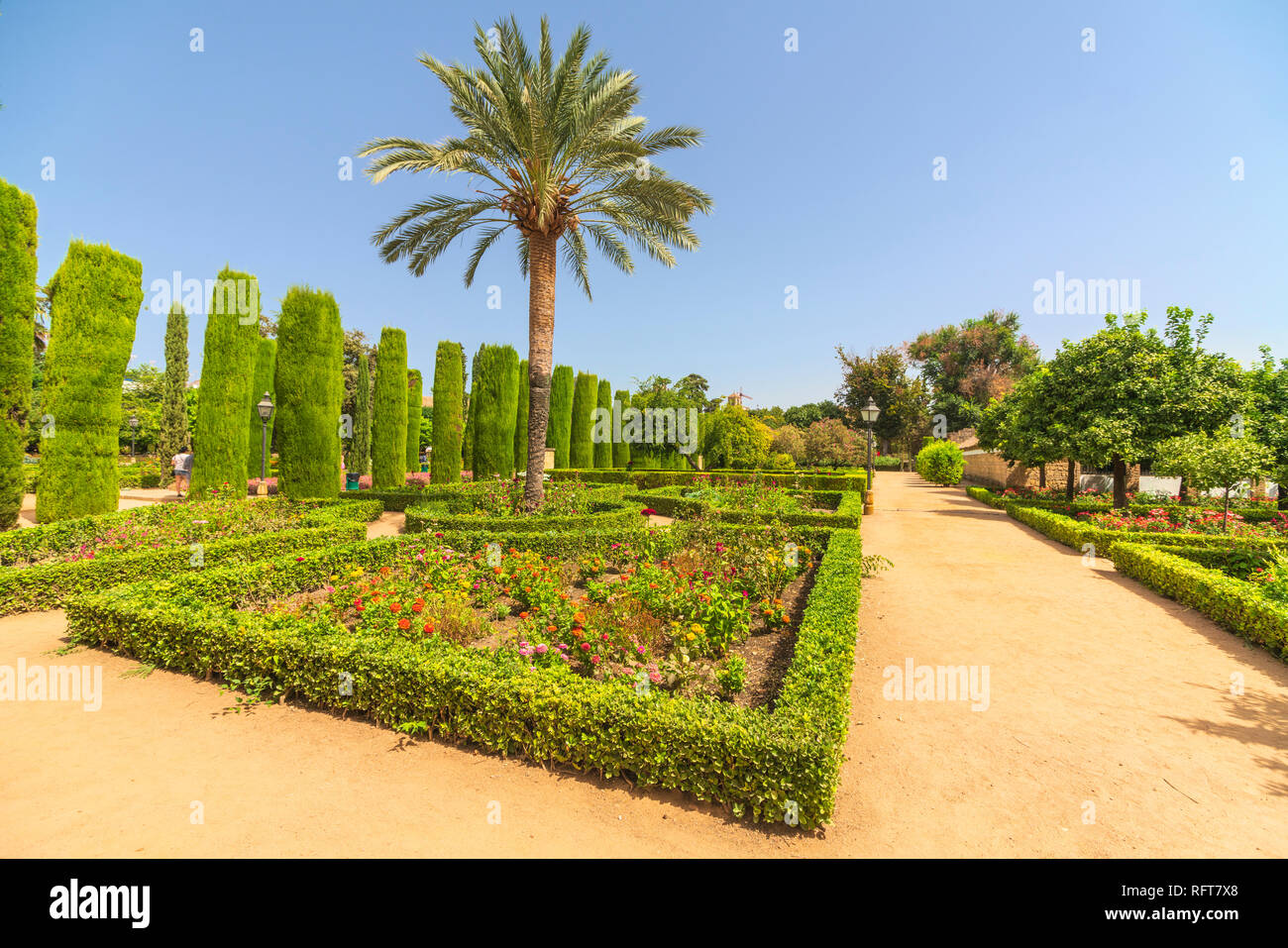 Palme e siepi, Jardines del Alcazar, giardini ornamentali di Alcazar de los Reyes Cristianos, Cordoba, UNESCO, Andalusia, Spagna Foto Stock