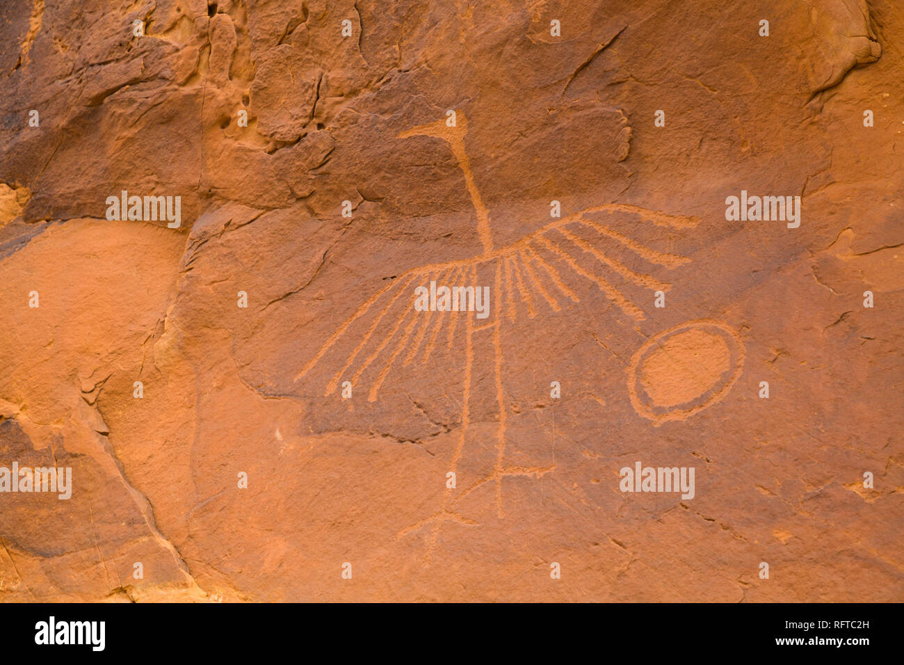 Gru grande pittogramma, realizzato da Puebloans ancestrale, circa 900-1000 anni, portano le orecchie del monumento nazionale, Utah, Stati Uniti d'America Foto Stock