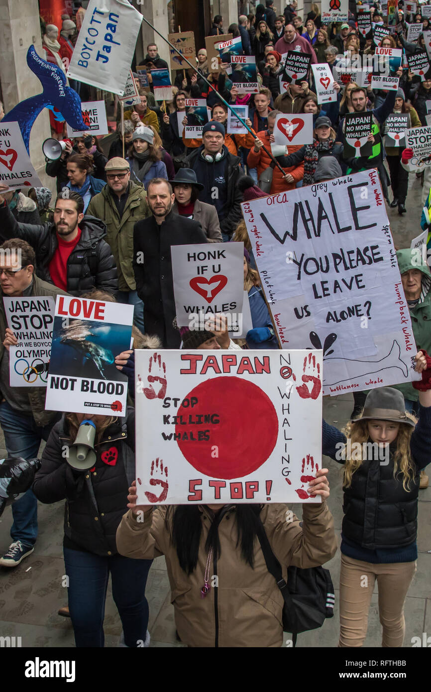 Londra, UK. Il 26 gennaio, 2019. I manifestanti hanno marciato attraverso Londra prima dimostrazione presso l'ambasciata giapponese dopo il Giappone ha annunciato di voler riprendere la caccia alle balene a fini commerciali. David Rowe/Alamy Live News. Foto Stock