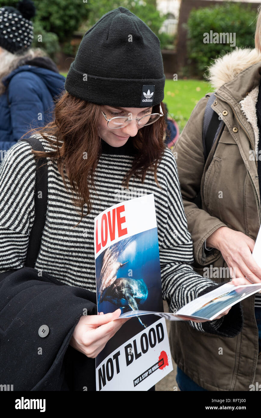 Londra, Regno Unito. Il 26 gennaio 2019. Londra protesta contro la prevista ripresa della caccia alle balene da parte del Giappone.Il governo giapponese ha recentemente sostenuto al di fuori di un accordo internazionale il divieto di caccia alle balene a fini commerciali. Gli attivisti al rally di Cavendish Square per il mese di marzo all'Ambasciata Giapponese. Credito: Stephen Bell/Alamy Live News. Foto Stock