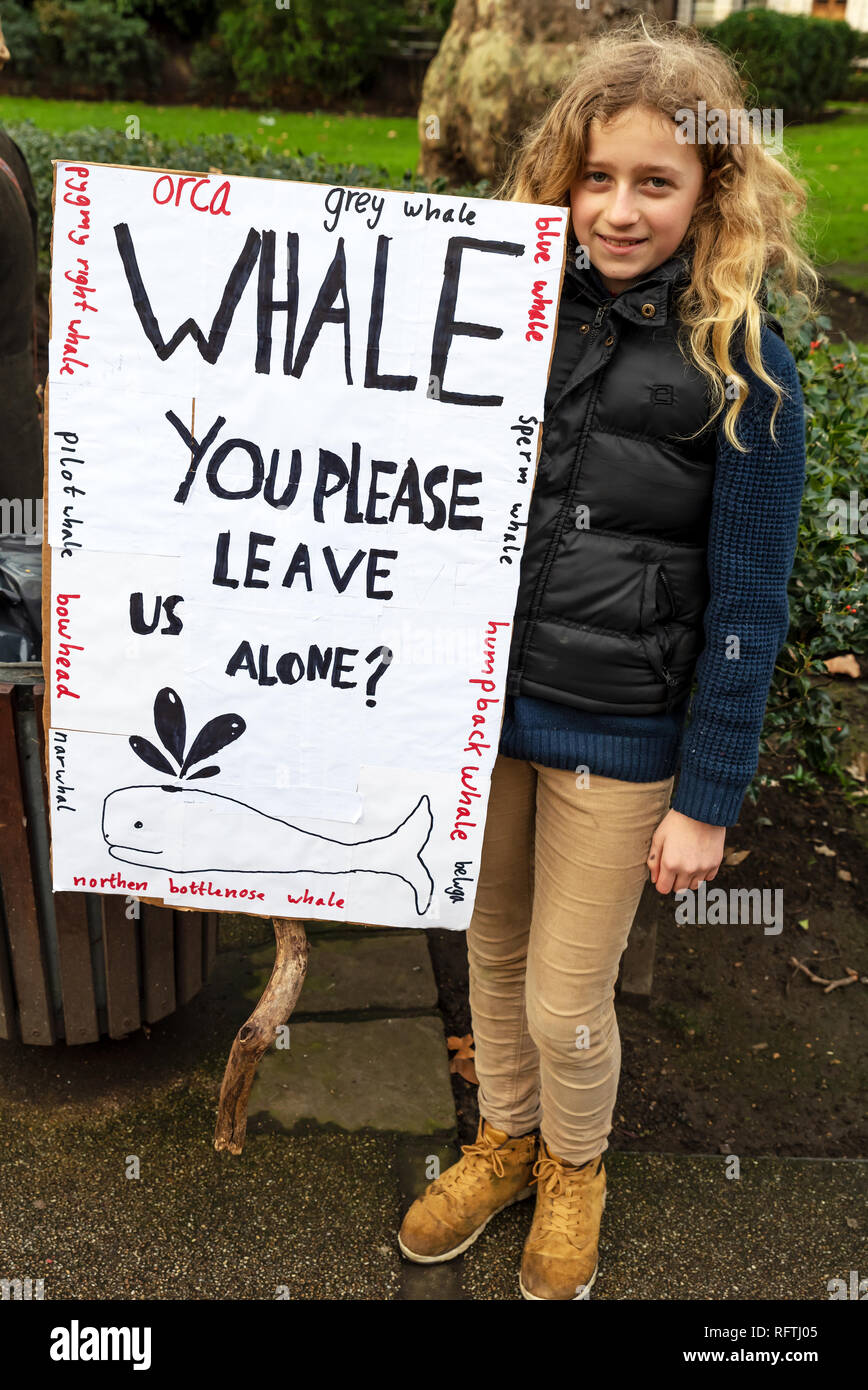 Londra, Regno Unito. Il 26 gennaio 2019. Londra protesta contro la prevista ripresa della caccia alle balene da parte del Giappone.Il governo giapponese ha recentemente sostenuto al di fuori di un accordo internazionale il divieto di caccia alle balene a fini commerciali. Gli attivisti al rally di Cavendish Square per il mese di marzo all'Ambasciata Giapponese. Credito: Stephen Bell/Alamy Live News. Foto Stock