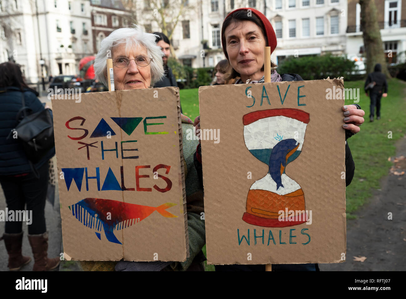 Londra, Regno Unito. Il 26 gennaio 2019. Londra protesta contro la prevista ripresa della caccia alle balene da parte del Giappone.Il governo giapponese ha recentemente sostenuto al di fuori di un accordo internazionale il divieto di caccia alle balene a fini commerciali. Gli attivisti al rally di Cavendish Square per il mese di marzo all'Ambasciata Giapponese. Credito: Stephen Bell/Alamy Live News. Foto Stock