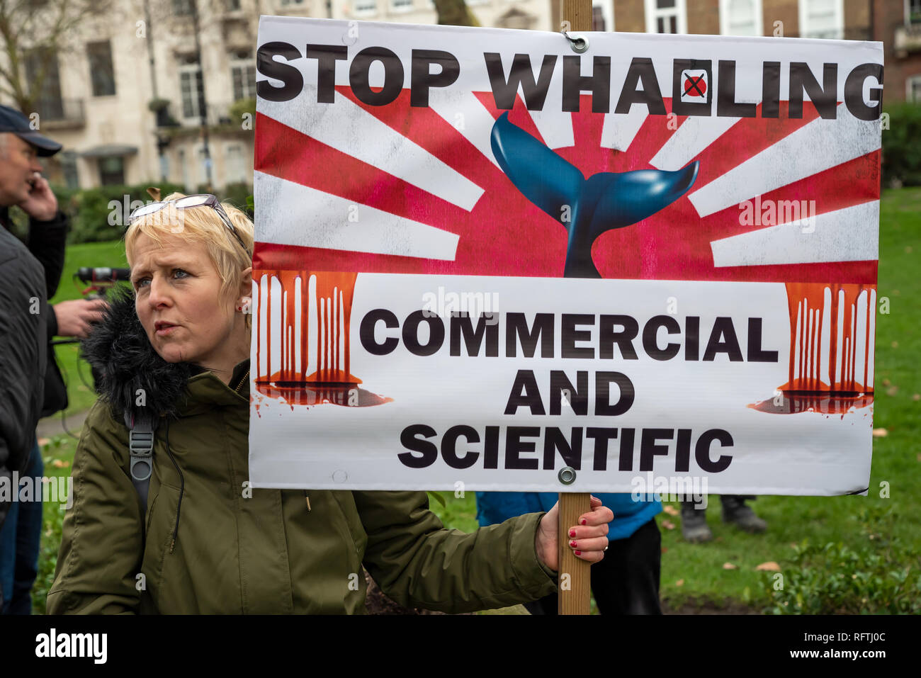 Londra, Regno Unito. Il 26 gennaio 2019. Londra protesta contro la prevista ripresa della caccia alle balene da parte del Giappone.Il governo giapponese ha recentemente sostenuto al di fuori di un accordo internazionale il divieto di caccia alle balene a fini commerciali. Gli attivisti al rally di Cavendish Square per il mese di marzo all'Ambasciata Giapponese. Donna tenendo premuto STOP WHALING cartellone. Credito: Stephen Bell/Alamy Live News. Foto Stock