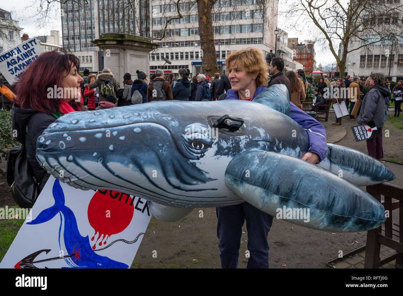 Londra, Regno Unito. Il 26 gennaio 2019. Londra protesta contro la prevista ripresa della caccia alle balene da parte del Giappone.Il governo giapponese ha recentemente sostenuto al di fuori di un accordo internazionale il divieto di caccia alle balene a fini commerciali. Gli attivisti al rally di Cavendish Square per il mese di marzo all'Ambasciata Giapponese. Donna protestor azienda grande balena gonfiabile. Credito: Stephen Bell/Alamy Live News. Foto Stock