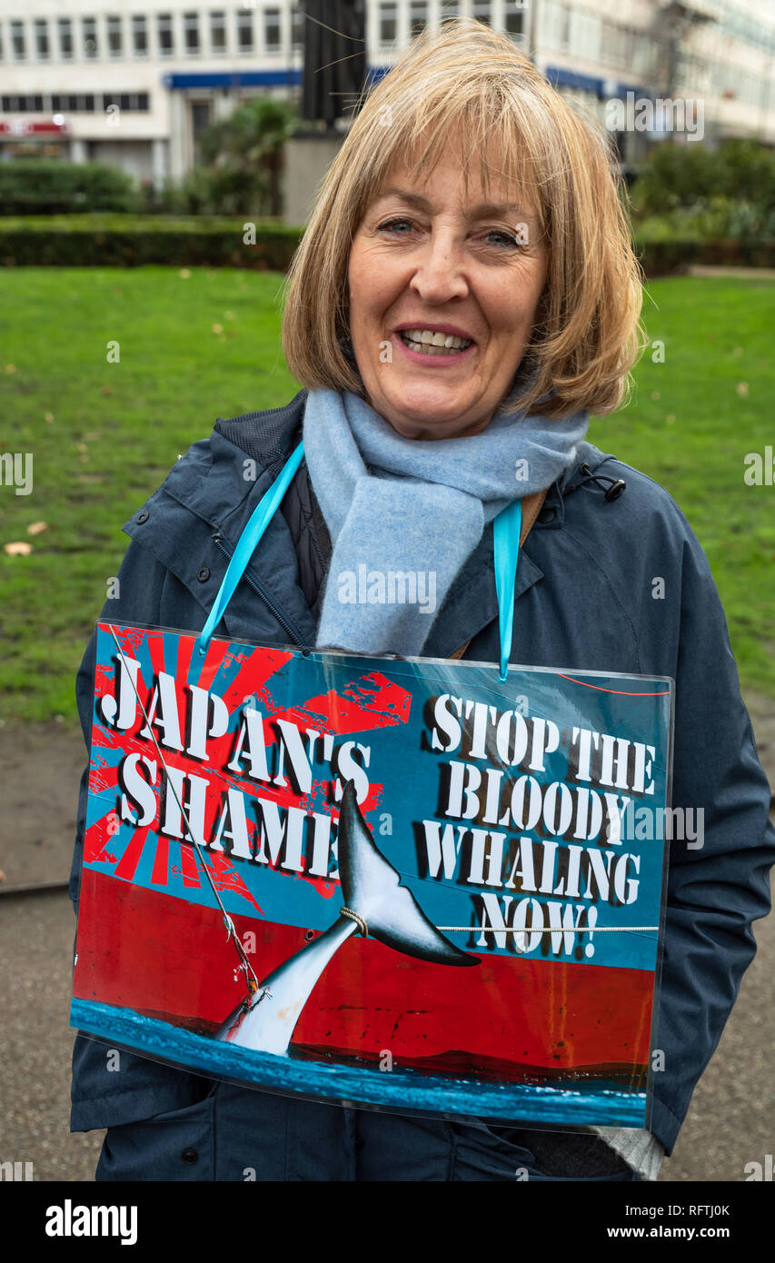 Londra, Regno Unito. Il 26 gennaio 2019. Londra protesta contro la prevista ripresa della caccia alle balene da parte del Giappone.Il governo giapponese ha recentemente sostenuto al di fuori di un accordo internazionale il divieto di caccia alle balene a fini commerciali. Gli attivisti al rally di Cavendish Square per il mese di marzo all'Ambasciata Giapponese. Donna con il Giappone del peccato, fermare la caccia alle balene a fini sanguinosi ora segno. Credito: Stephen Bell/Alamy Live News. Foto Stock