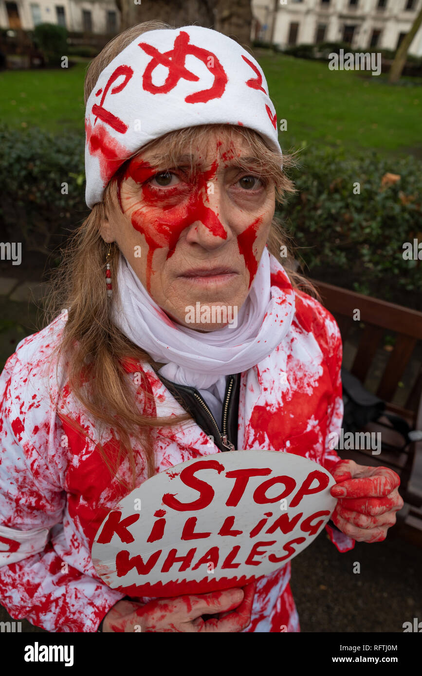 Londra, Regno Unito. Il 26 gennaio 2019. Londra protesta contro la prevista ripresa della caccia alle balene da parte del Giappone.Il governo giapponese ha recentemente sostenuto al di fuori di un accordo internazionale il divieto di caccia alle balene a fini commerciali. Gli attivisti al rally di Cavendish Square per il mese di marzo all'Ambasciata Giapponese. Donna che indossa rosso sangue spruzzato sulle abbigliamento azienda smettere di uccidere le balene in segno. Credito: Stephen Bell/Alamy Live News. Foto Stock