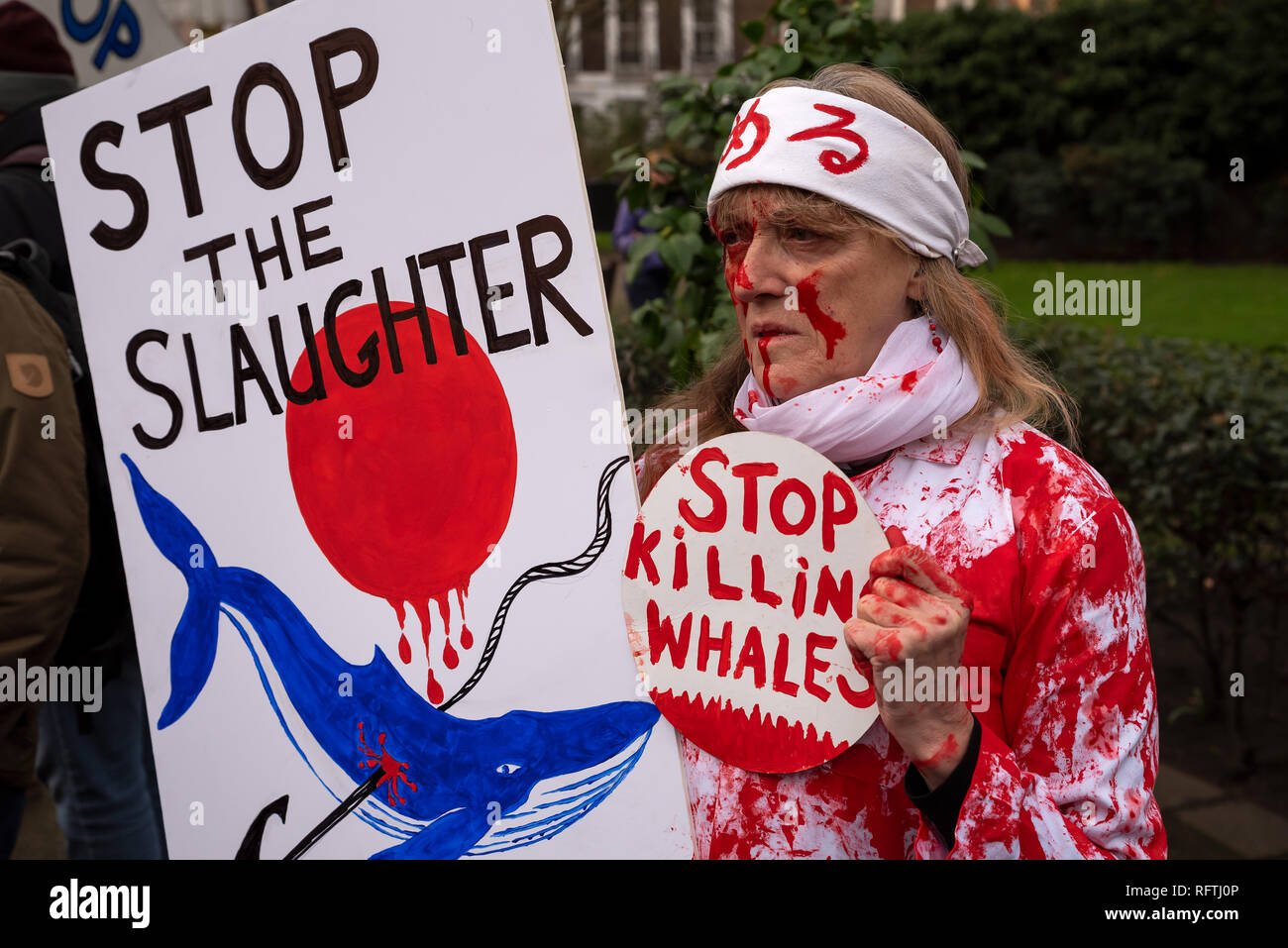 Londra, Regno Unito. Il 26 gennaio 2019. Londra protesta contro la prevista ripresa della caccia alle balene da parte del Giappone.Il governo giapponese ha recentemente sostenuto al di fuori di un accordo internazionale il divieto di caccia alle balene a fini commerciali. Gli attivisti al rally di Cavendish Square per il mese di marzo all'Ambasciata Giapponese. Donna che indossa rosso sangue spruzzato sulle abbigliamento azienda smettere di uccidere le balene in segno. Credito: Stephen Bell/Alamy Live News. Foto Stock
