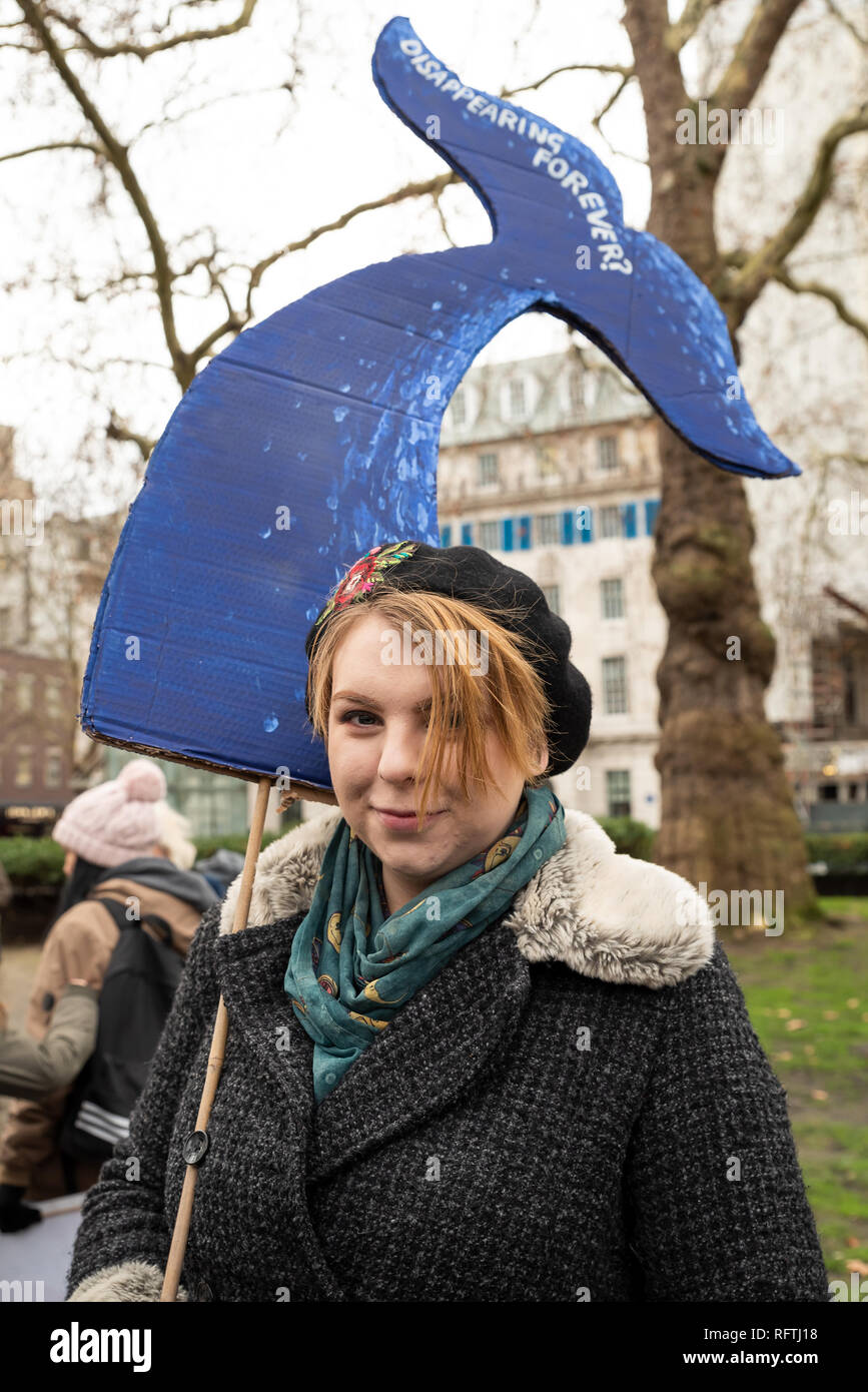 Londra, Regno Unito. Il 26 gennaio 2019. Londra protesta contro la prevista ripresa della caccia alle balene da parte del Giappone.Il governo giapponese ha recentemente sostenuto al di fuori di un accordo internazionale il divieto di caccia alle balene a fini commerciali. Gli attivisti al rally di Cavendish Square per il mese di marzo all'Ambasciata Giapponese. Donna che mantiene piccola coda di balena con la scrittura di scomparire per sempre. Credito: Stephen Bell/Alamy Live News. Foto Stock