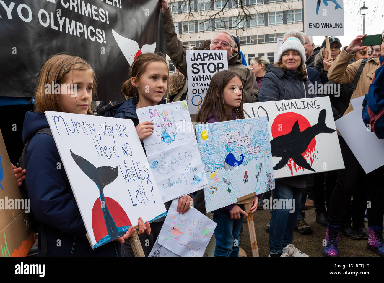 Londra, Regno Unito. Il 26 gennaio 2019. Londra protesta contro la prevista ripresa della caccia alle balene da parte del Giappone.Il governo giapponese ha recentemente sostenuto al di fuori di un accordo internazionale il divieto di caccia alle balene a fini commerciali. Gli attivisti al rally di Cavendish Square per il mese di marzo all'Ambasciata Giapponese. Credito: Stephen Bell/Alamy Live News. Foto Stock