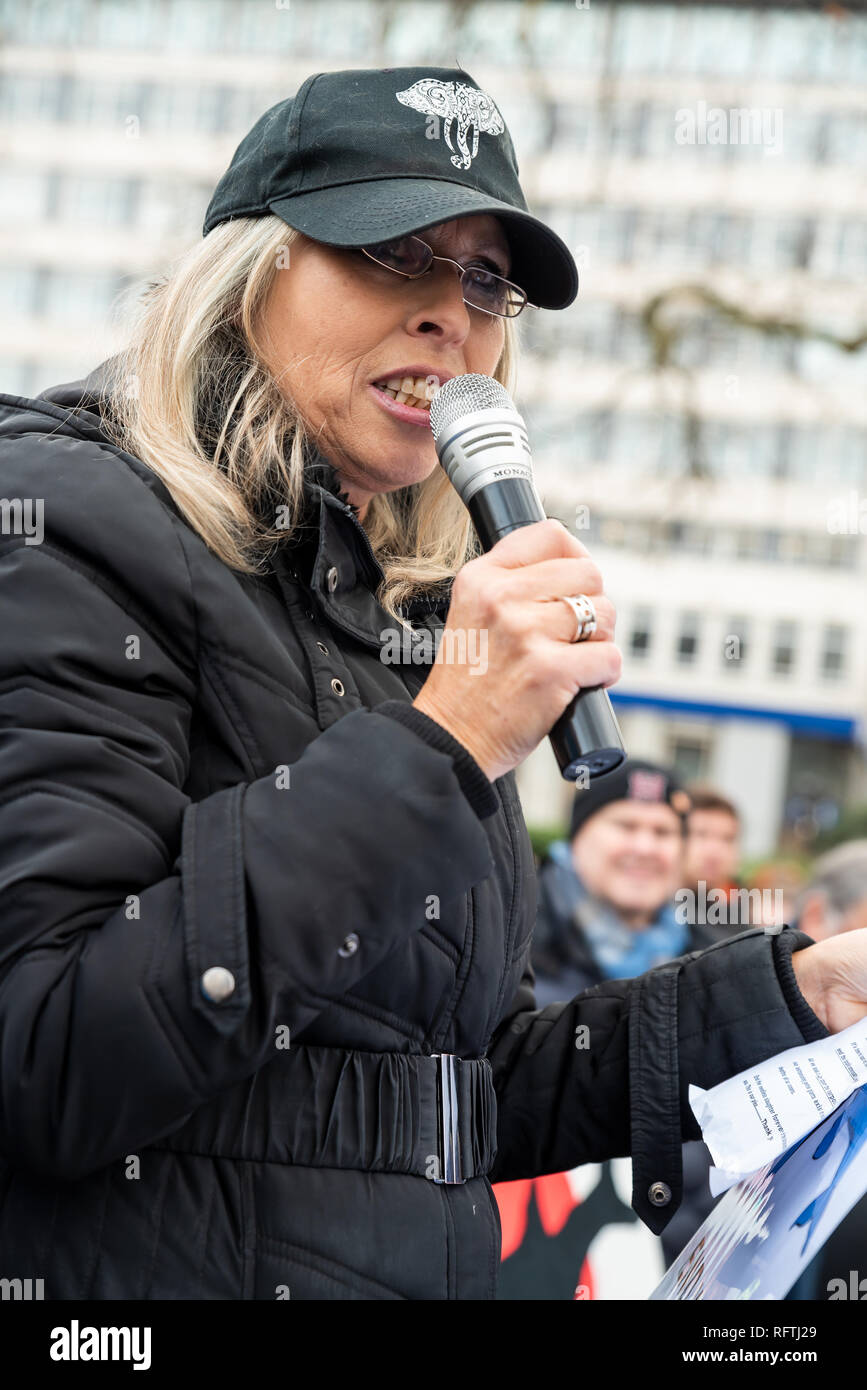 Londra, Regno Unito. Il 26 gennaio 2019. Londra protesta contro la prevista ripresa della caccia alle balene da parte del Giappone.Il governo giapponese ha recentemente sostenuto al di fuori di un accordo internazionale il divieto di caccia alle balene a fini commerciali. Gli attivisti al rally di Cavendish Square per il mese di marzo all'Ambasciata Giapponese. Credito: Stephen Bell/Alamy Live News. Foto Stock