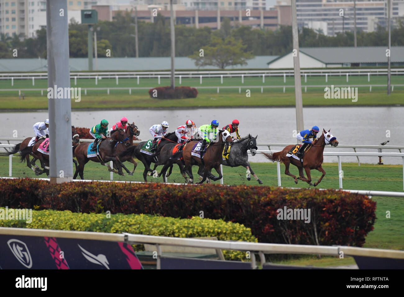 Hallandale, Florida, Stati Uniti d'America. Il 26 gennaio, 2019. Jockey Irad Ortiz Jr, equitazione di mattoni e malta vince il 2019 Pegasus Coppa del mondo 7 milioni di dollari di turf gara a Gulfstream Park il 26 gennaio 2019 in Hallandale, Florida Persone: Jockey Irad Ortiz Jr, mattoni e malta di calce Credito: tempeste Media Group/Alamy Live News Foto Stock