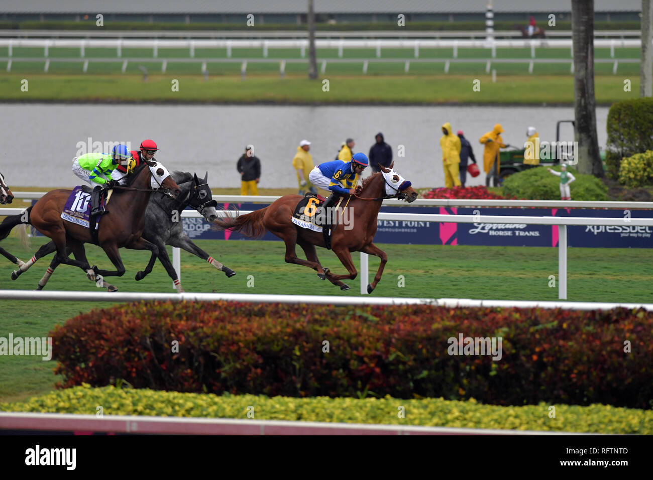 Hallandale, Florida, Stati Uniti d'America. Il 26 gennaio, 2019. Jockey Irad Ortiz Jr, equitazione di mattoni e malta vince il 2019 Pegasus Coppa del mondo 7 milioni di dollari di turf gara a Gulfstream Park il 26 gennaio 2019 in Hallandale, Florida Persone: Jockey Irad Ortiz Jr, mattoni e malta di calce Credito: tempeste Media Group/Alamy Live News Foto Stock