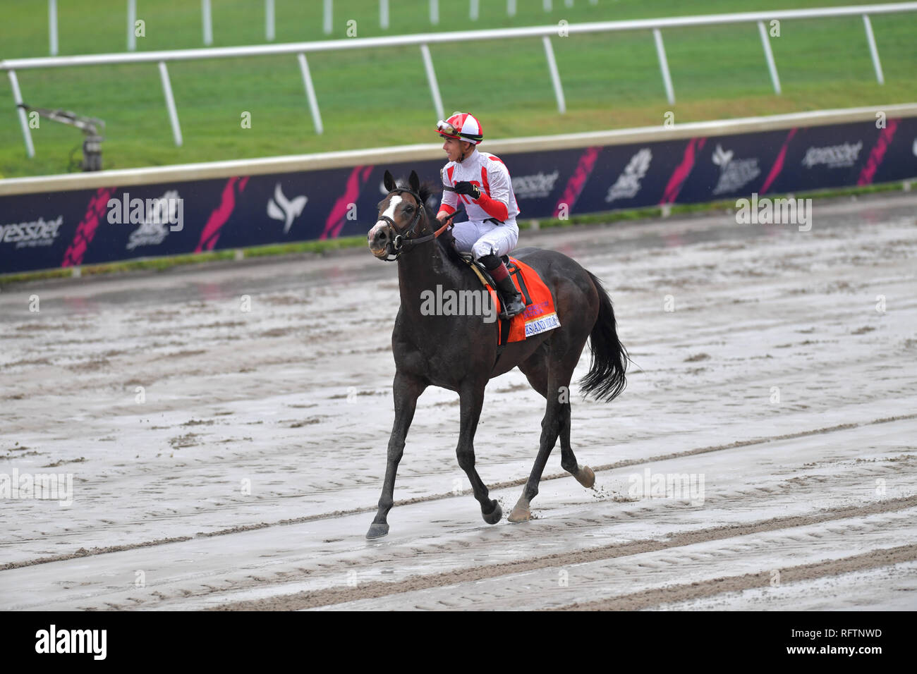 Hallandale, Florida, Stati Uniti d'America. Il 26 gennaio, 2019. Jockey Irad Ortiz Jr, equitazione di mattoni e malta vince il 2019 Pegasus Coppa del mondo 7 milioni di dollari di turf gara a Gulfstream Park il 26 gennaio 2019 in Hallandale, Florida Persone: Jockey Irad Ortiz Jr, mattoni e malta di calce Credito: tempeste Media Group/Alamy Live News Foto Stock