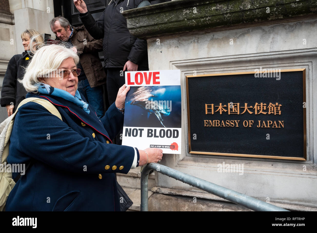 Londra, Regno Unito. Il 26 gennaio 2019. Londra protesta contro la ripresa della caccia alle balene da parte del Giappone.Il governo giapponese ha recentemente sostenuto al di fuori di un accordo internazionale il divieto di caccia alle balene a fini commerciali. Gli attivisti hanno marciato attraverso il centro di Londra all'Ambasciata Giapponese. Qui ritratti al di fuori e davanti all'Ambasciata Giapponese. Credito: Stephen Bell/Alamy Live News. Foto Stock