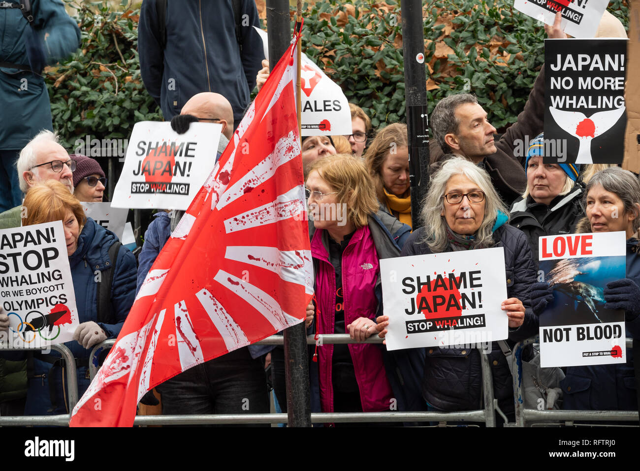 Londra, Regno Unito. Il 26 gennaio 2019. Londra protesta contro la ripresa della caccia alle balene da parte del Giappone.Il governo giapponese ha recentemente sostenuto al di fuori di un accordo internazionale il divieto di caccia alle balene a fini commerciali. Gli attivisti hanno marciato attraverso il centro di Londra all'Ambasciata Giapponese. Qui ritratti al di fuori e davanti all'Ambasciata Giapponese. Credito: Stephen Bell/Alamy Live News. Foto Stock