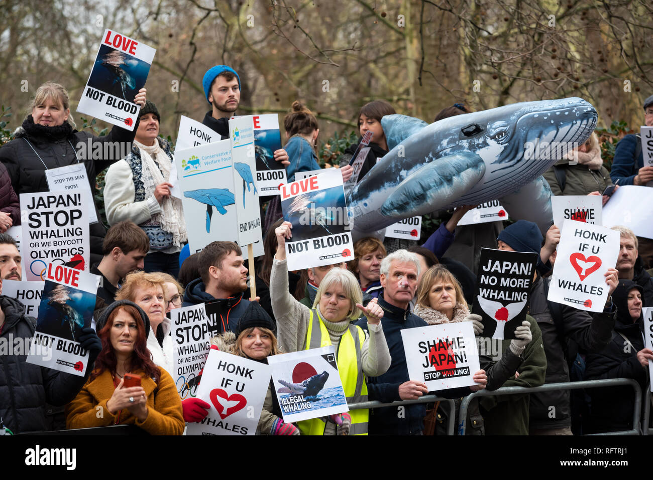 Londra, Regno Unito. Il 26 gennaio 2019. Londra protesta contro la ripresa della caccia alle balene da parte del Giappone.Il governo giapponese ha recentemente sostenuto al di fuori di un accordo internazionale il divieto di caccia alle balene a fini commerciali. Gli attivisti hanno marciato attraverso il centro di Londra all'Ambasciata Giapponese. Qui ritratti al di fuori e davanti all'Ambasciata Giapponese. Credito: Stephen Bell/Alamy Live News. Foto Stock