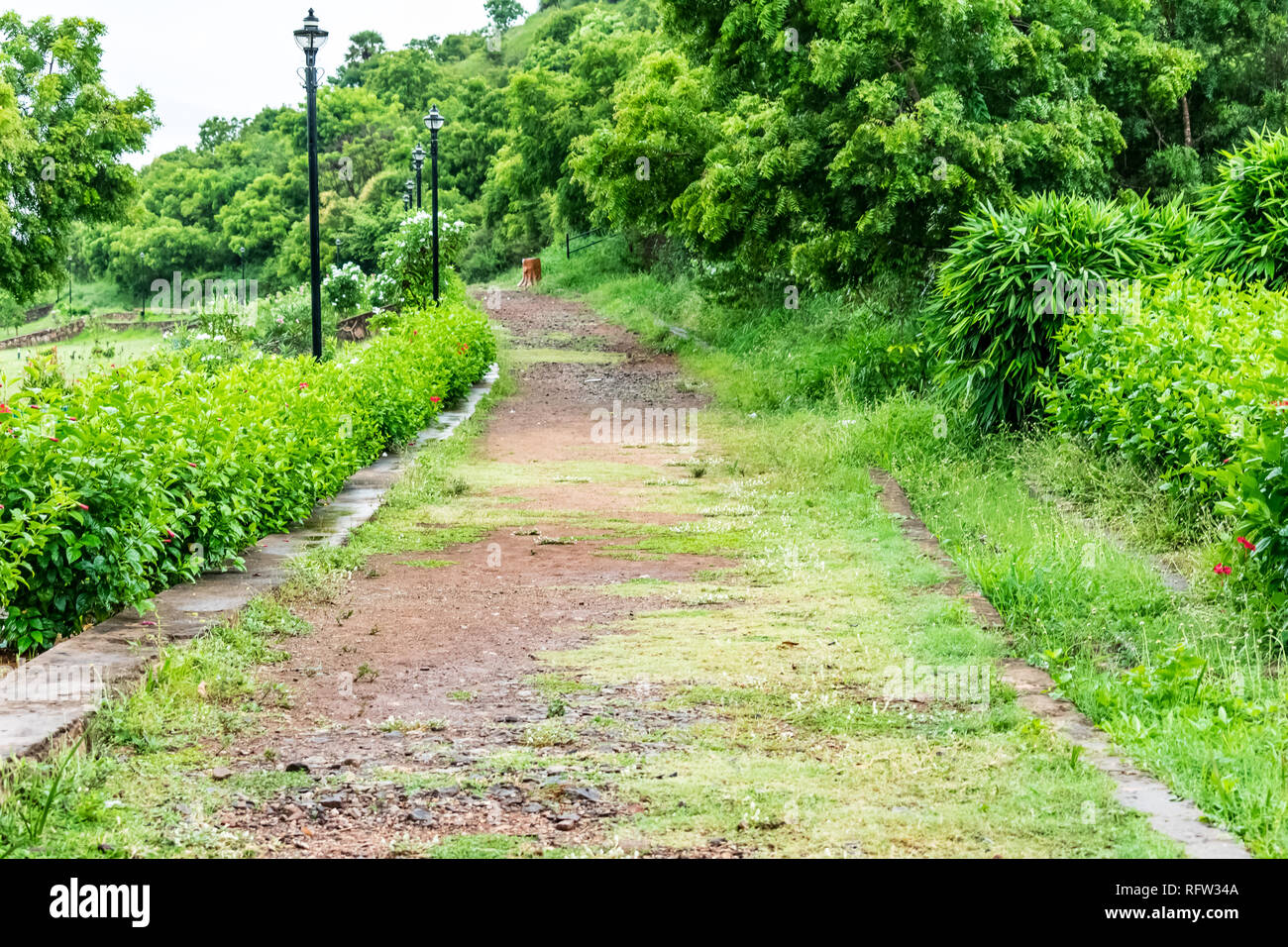 Rurale indiano pathway del giardino con cespugli verdi cercando impressionante. Foto Stock