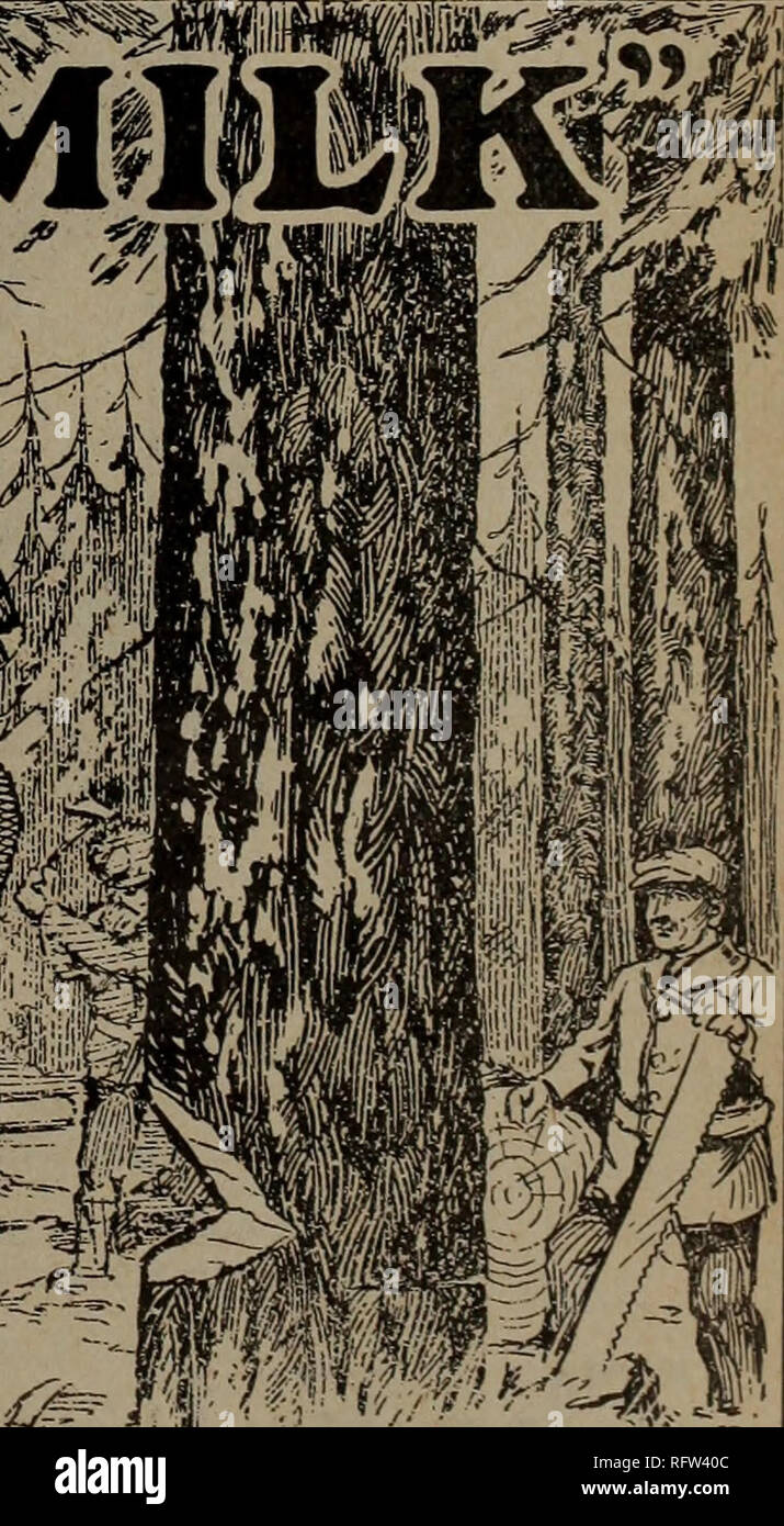 . Canadian Forest industries luglio-dicembre 1923. Macchinoso; le foreste e la silvicoltura; prodotti di foresta; polpa di legno Industria; legno industrie utilizzatrici. 4" scrivere per campioni gratuiti di latte canadese Products Limited 347 Adelaide Street W. Toronto 366 San Paolo San Ovest, 428 Main Street, Montreal, Que. Winnipeg, Man. British Columbia distributori: Kirkland &AMP; rosa, 130 Acqua San, Vancouver, B.C.. Si prega di notare che queste immagini vengono estratte dalla pagina sottoposta a scansione di immagini che possono essere state migliorate digitalmente per la leggibilità - Colorazione e aspetto di queste illustrazioni possono non assomigliare perfettamente l'originale wo Foto Stock