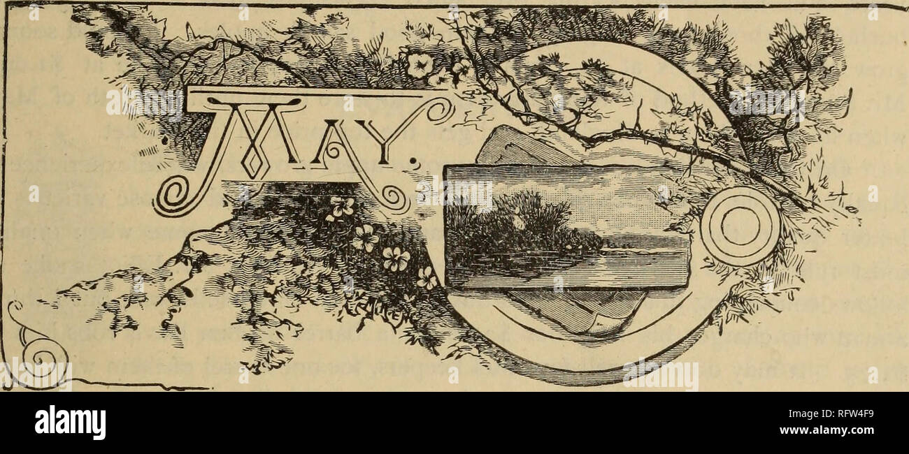 . Il canadese del giardiniere. Coltivatori di frutta' Association of Ontario; frutti-coltura. Il canadese del giardiniere Vol XVII. 1894 n. 5.. Il BEN DAVIS.. Si prega di notare che queste immagini vengono estratte dalla pagina sottoposta a scansione di immagini che possono essere state migliorate digitalmente per la leggibilità - Colorazione e aspetto di queste illustrazioni potrebbero non perfettamente assomigliano al lavoro originale. Coltivatori di frutta " Associazione di Ontario. St. Catherines [Ont. ] : Coltivatori di frutta' Association of Ontario Foto Stock