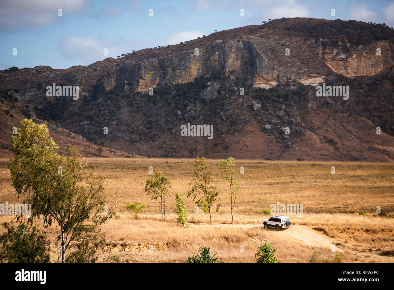 Isalo National Park, Regione di Ihorombe, a sud-ovest del Madagascar, Africa Foto Stock