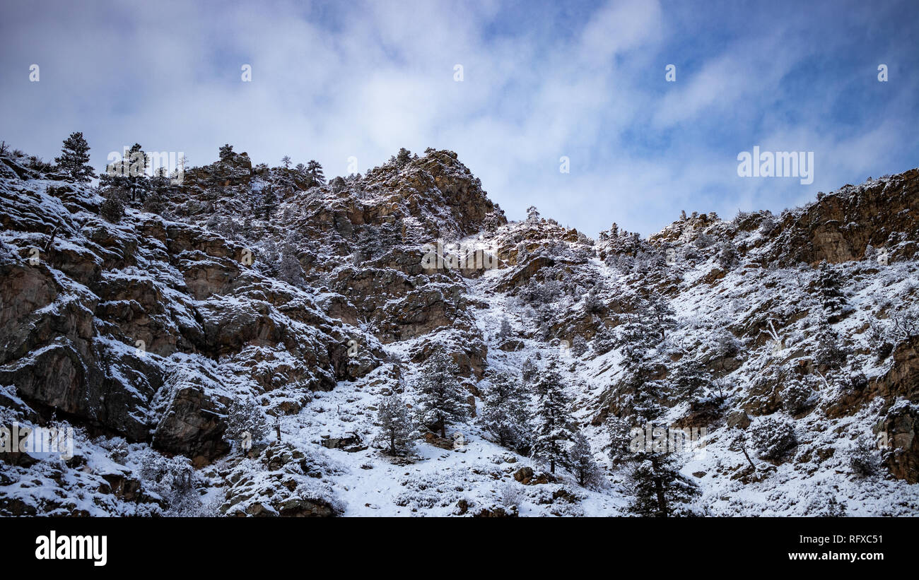 Coperta di neve al lato della montagna e alberi Clear Creek Canyon, Colorado, Stati Uniti d'America 12 Gennaio 2019 Foto Stock