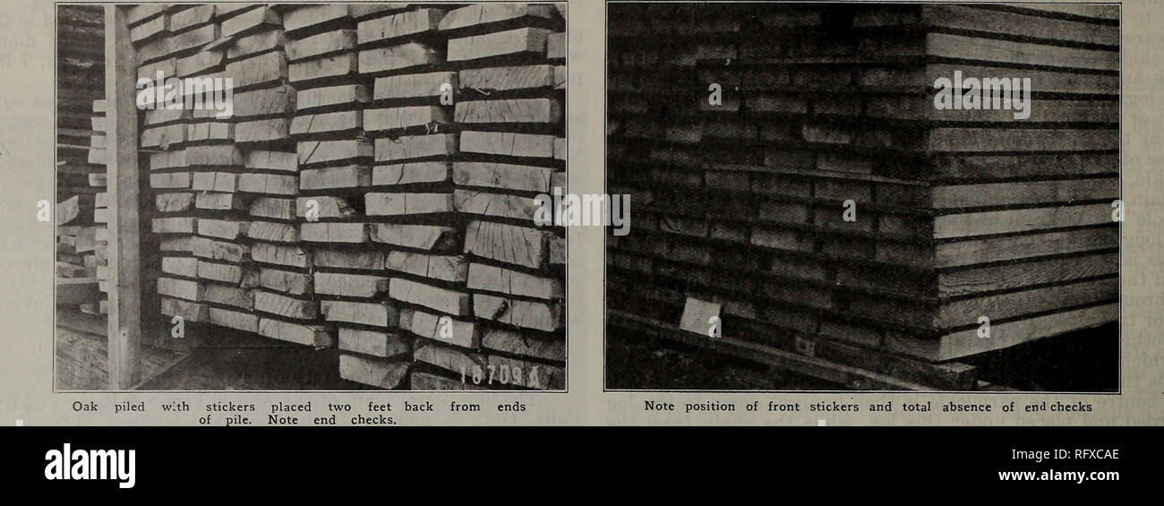 . Canadian Forest industries luglio-dicembre 1921. Macchinoso; le foreste e la silvicoltura; prodotti di foresta; polpa di legno Industria; legno industrie utilizzatrici. 50 CANADA LUMBERMAN. Legname di impilaggio in modo da eliminare le perdite metodi negligente può provocare danni ingenti-Importanza dell'corretto fondazioni-come fine la verifica può essere impedito-tempestiva tutela la conservazione e la manipolazione del legname in modo da evitare la perdita dal deterioramento, controllo e di orditura, è un tema con il quale tutte le opere in legno- ers dovrebbe essere familiare, ancora una passeggiata attraverso la media deposito di legname tenderebbe a convincere qualcuno che la molto più semplici regole per Foto Stock