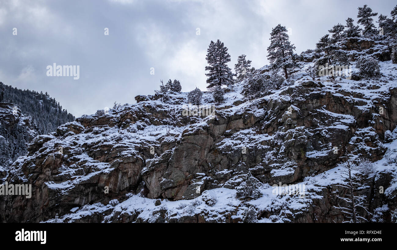 Coperta di neve al lato della montagna e alberi Clear Creek Canyon, Colorado, Stati Uniti d'America 12 Gennaio 2019 Foto Stock