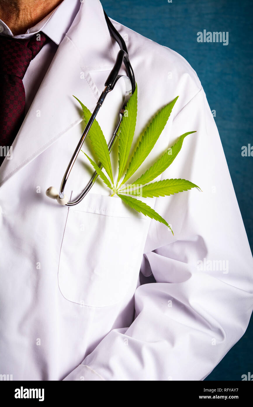 Medico con una foglia di marijuana close up Foto Stock