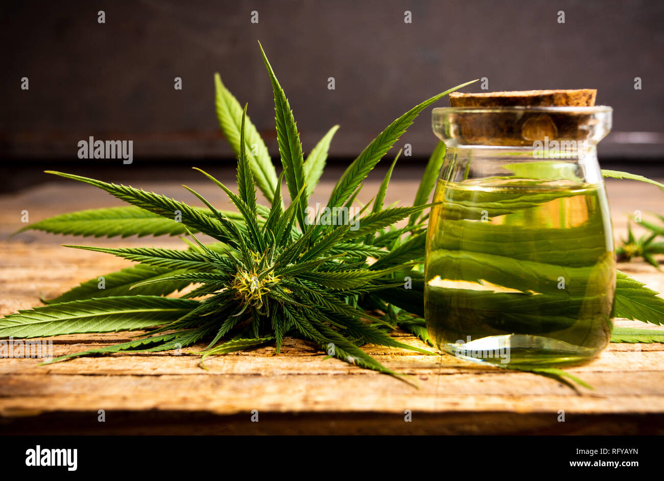 Piante di marijuana con boccioli e olio essenziale su una tavola di legno Foto Stock