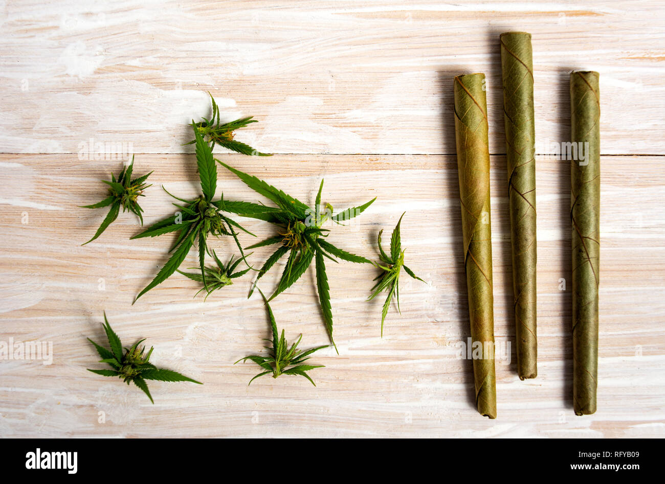 Piante di marijuana con boccioli e snodo su una tavola di legno Foto Stock