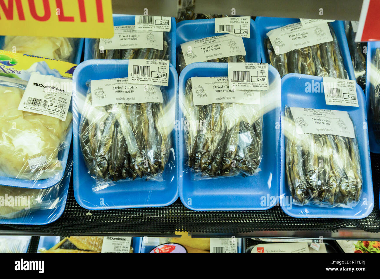 Essiccato caplin in vendita nel supermercato Bidgoods in Terranova. Una tradizionale specialità di Terranova. Foto Stock