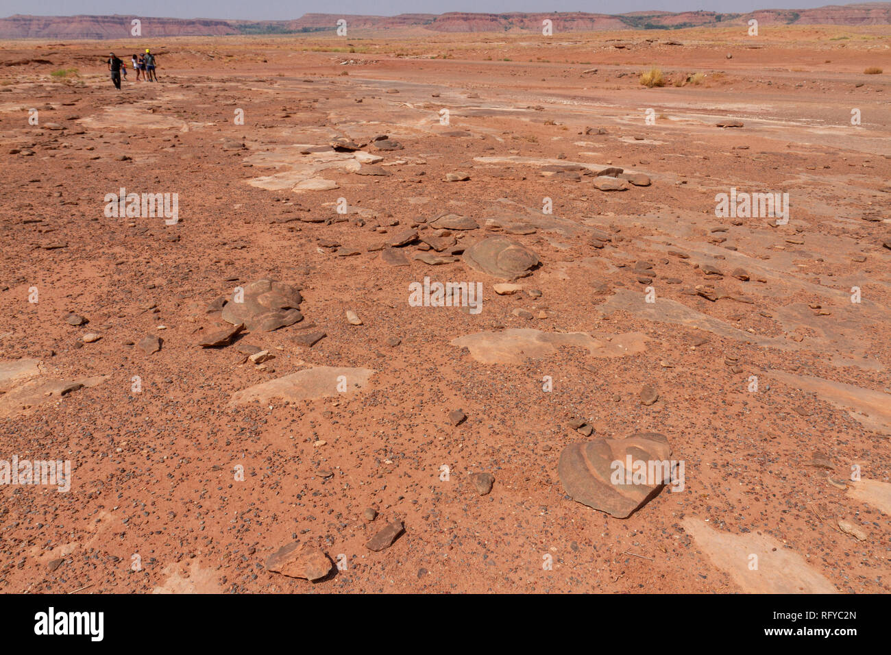 Vista generale di tutta la Moenkopi tracce di dinosauri sito nelle vicinanze di Tuba City, Arizona, Stati Uniti. Foto Stock