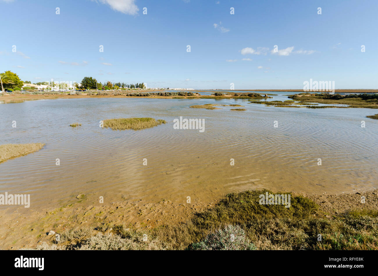 Il parco naturale di Ria Formosa, vicino Santa Luzia, Barril beach,Algarve, Portogallo, dell'Europa. Foto Stock