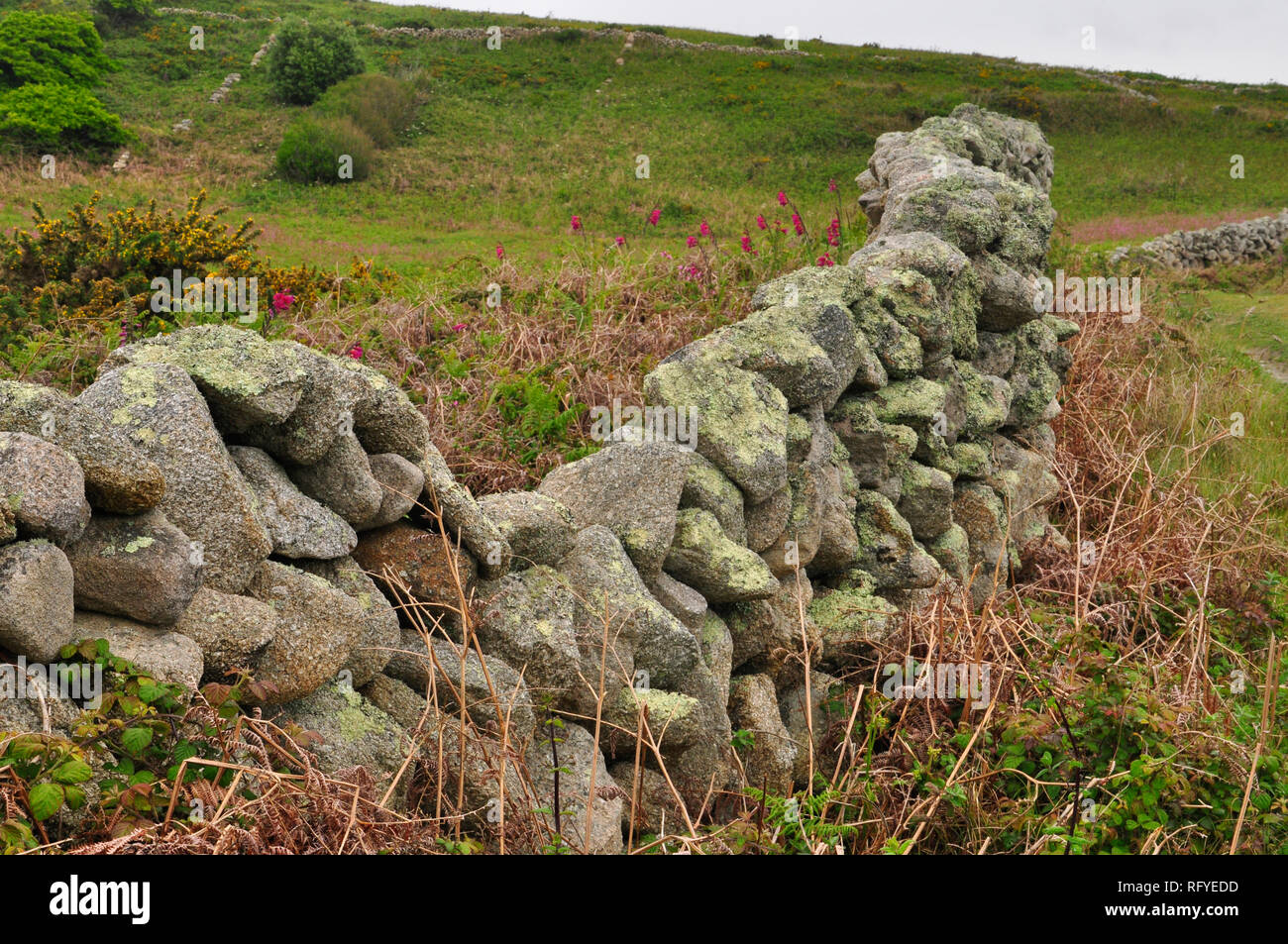 Grandi massi di granito creano un muro grezzo ricoperto da muschi e licheni sull'isola di St Martin's nelle isole Scilly,cornwall, Engalnd,UK. Foto Stock