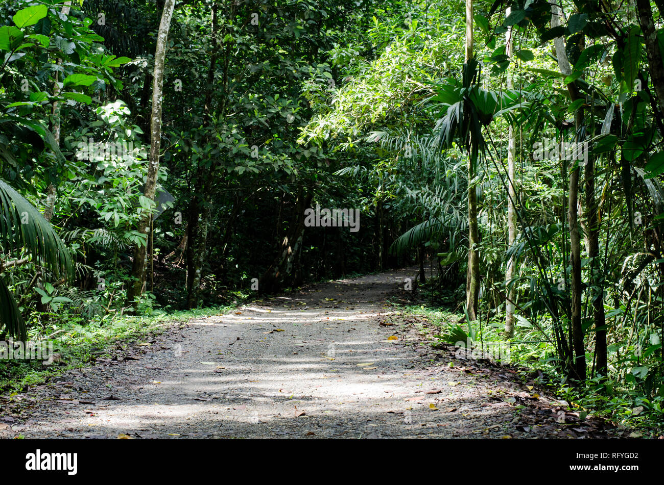Parco Nazionale di Soberania Foto Stock