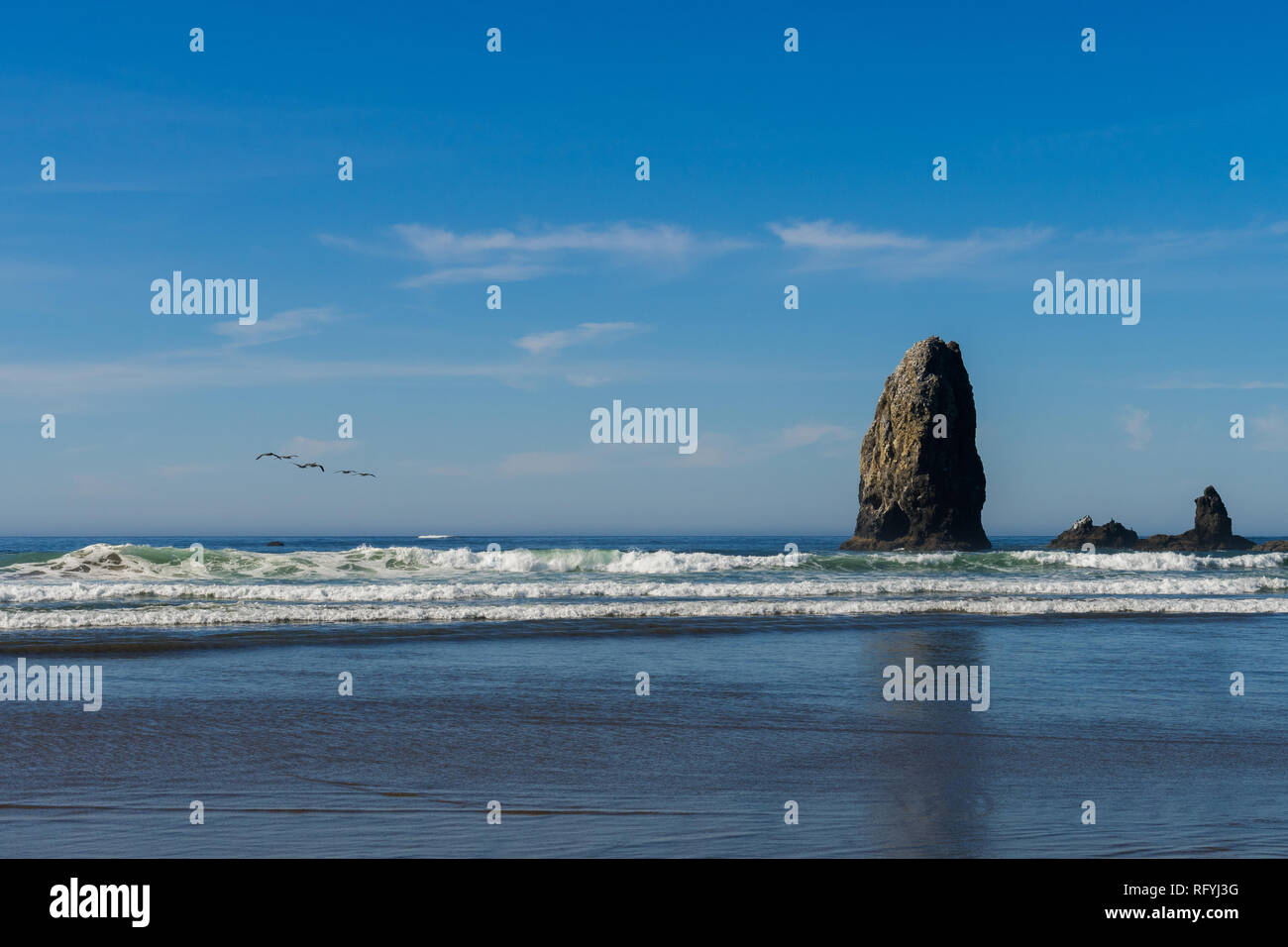 Gabbiani sull'oceano verso le rocce verticali che si distinguono in Cannon Beach, Oregon, Stati Uniti d'America. Foto Stock