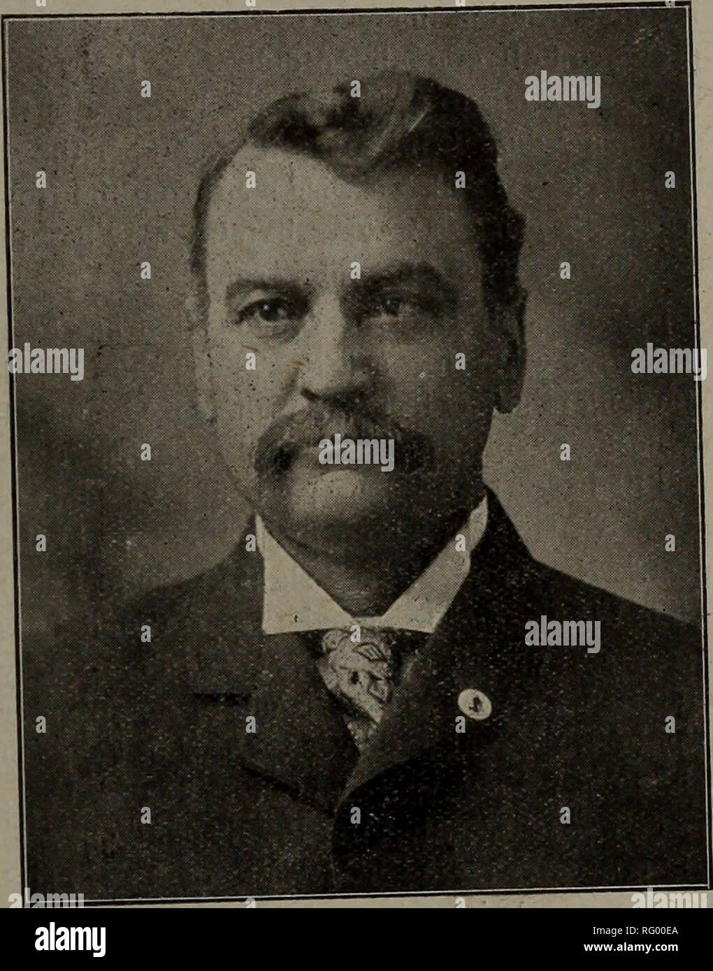 . Canadian Forest industries 1903. Macchinoso; le foreste e la silvicoltura; prodotti di foresta; polpa di legno Industria; legno industrie utilizzatrici. Gennaio 1904 IL CANADA LUMBERMAN '5 mour Company nel 1892 per B.rth 6 nelle township di Peck, comprendente 11^ miglia quadrate. Il risultato di una precedente vendite di legname in Ontario era come segue : medio più elevato prezzo quadrato prezzo data miglia, per miglio. per miglio. 1868 38 $ 5'9 $ 38o-'7 1869 98 418 260.86 1870 12 640 640.00 1871 487 5°° 241.62 1872 5,031 1,000 ii7-79 1877 375 5°° 201.97 1881 i,379 2-30° 532-oo 1885 1.012 1.250 3!4-87 1887 459 6'3°° 2,859.00 1890 343 • U.530 2, Foto Stock